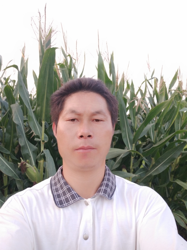 四海游龙的第二张照片--大田相亲网