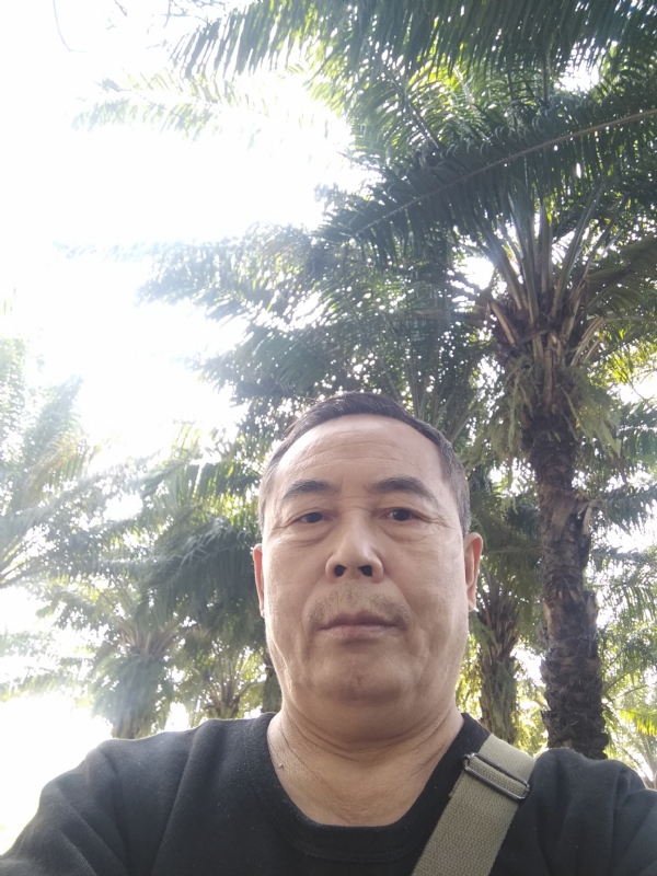重振雄风的第二张照片--大田相亲网
