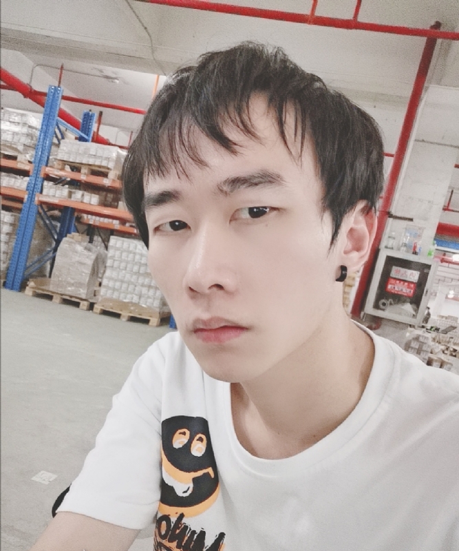 巷子里的猫的第一张照片--大田相亲网