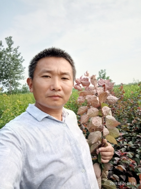 孩子爸的第一张照片--大田相亲网