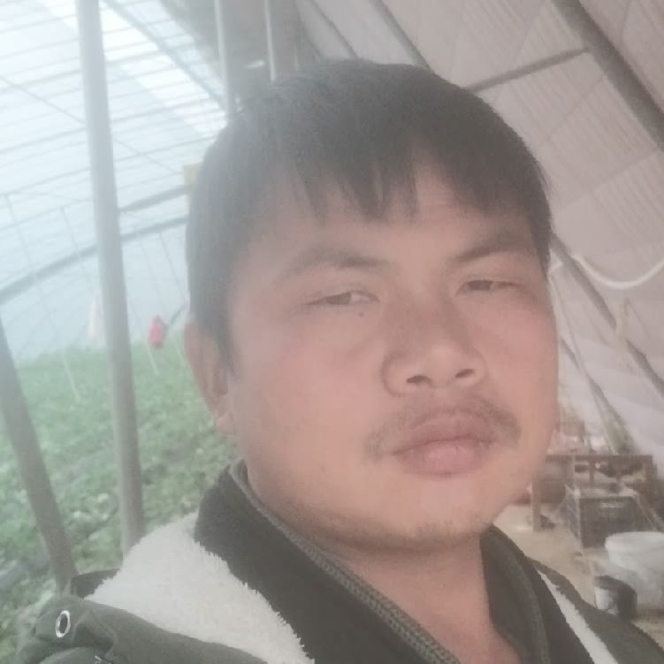 孤狼‘的第一张照片--大田相亲网