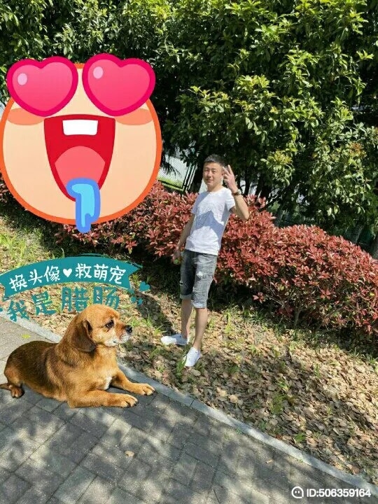 我若不坚强谁替我勇敢的第五张照片--大田相亲网