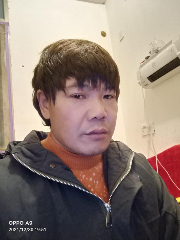小鸟找窝的第一张照片--大田相亲网