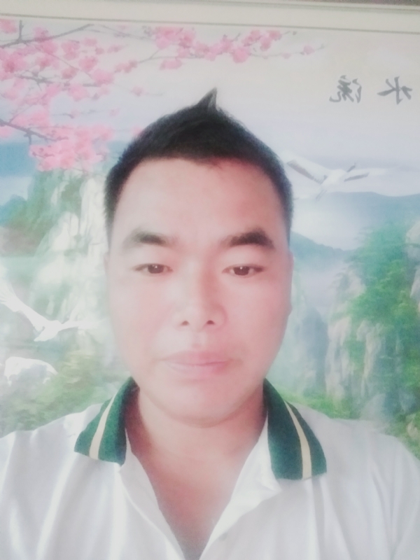 阳光男孩的第二张照片--大田相亲网