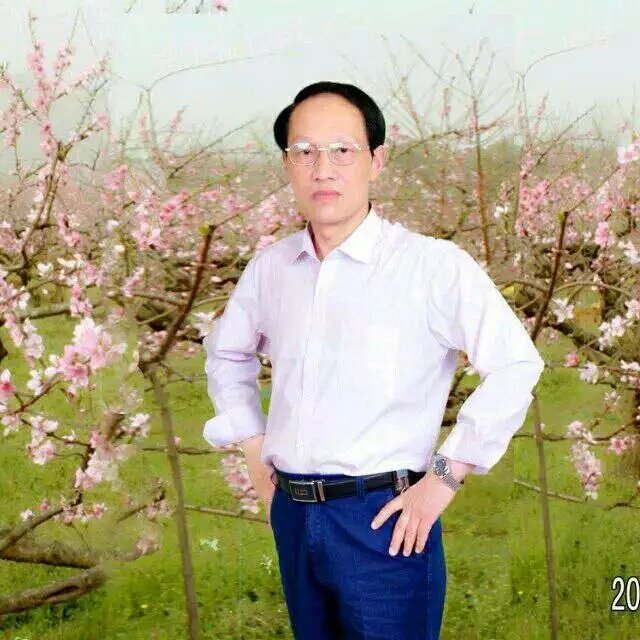 枫叶的第一张照片--大田相亲网